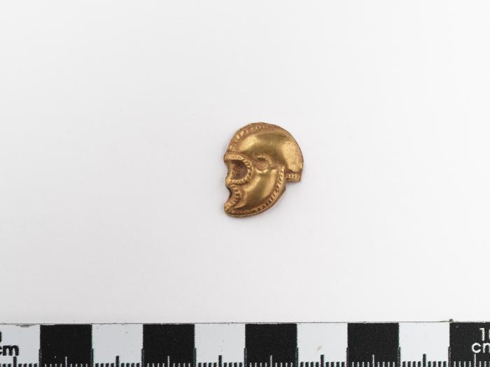 Χρυσή ψήφος σε μορφή κρανοφόρου κεφαλής