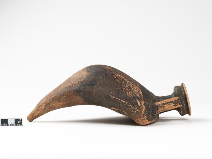 Δελτόσχημος ασκός