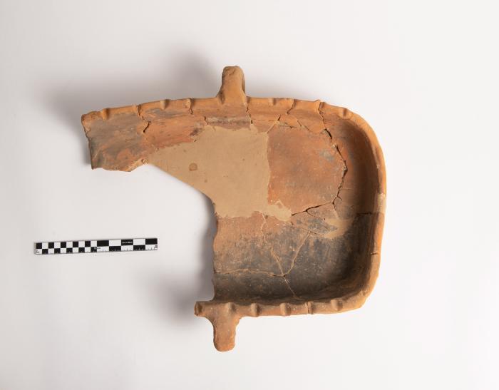 26_11_1667_61216_F_300_5crop